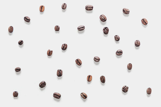 A Coffee Bean’s Journey – From Farm to Your Cup!