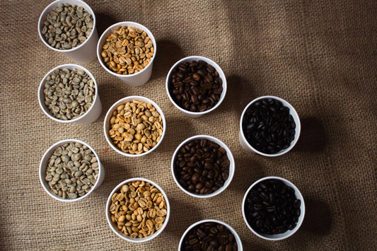 Not Sure What Coffee to Buy? Start Here