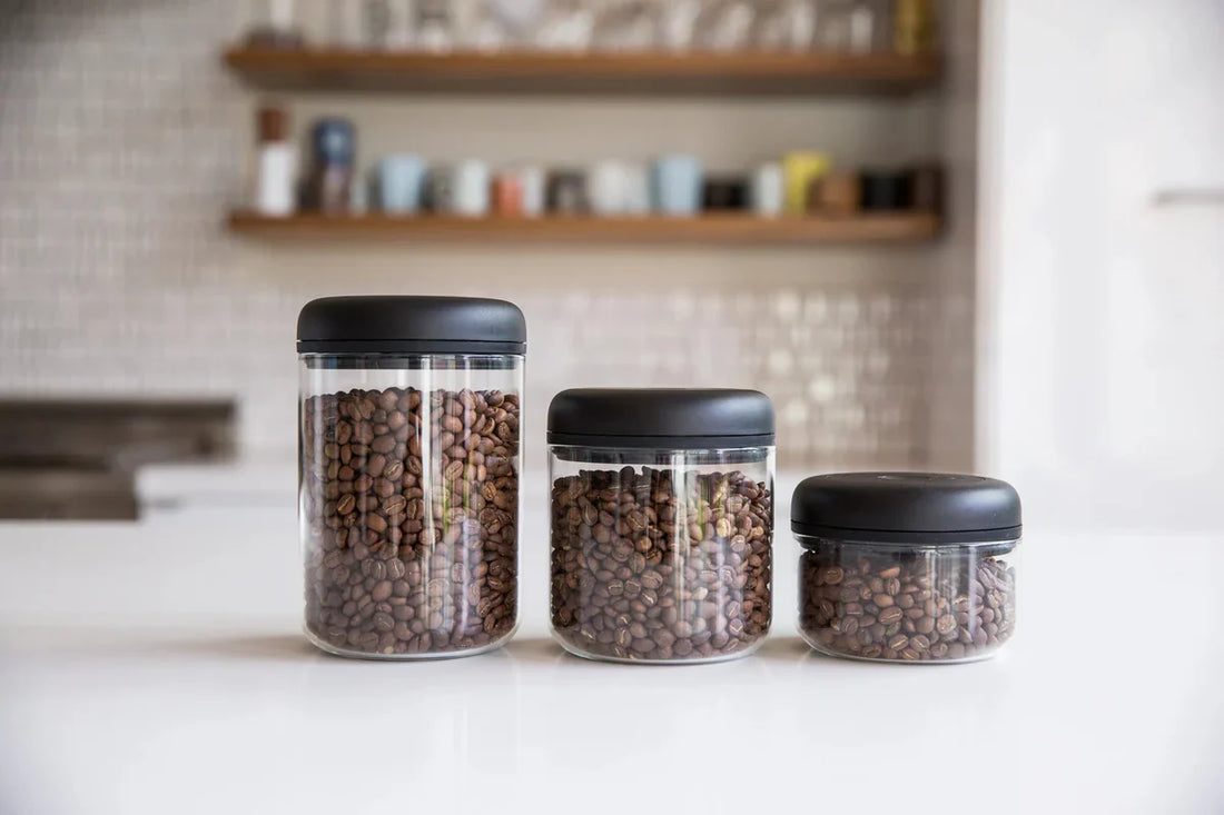 Coffee Storage 101: Tips for Long-Lasting Freshness!☕️